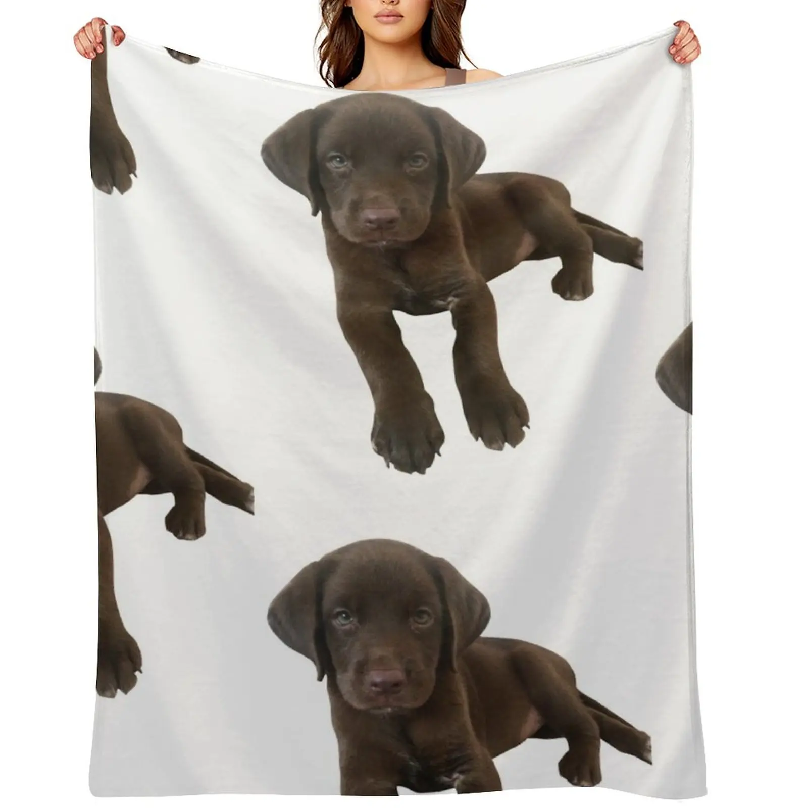 Chocolate Labrador Throw Blanket Loose Warm Blankets For Sofas Travel Blankets