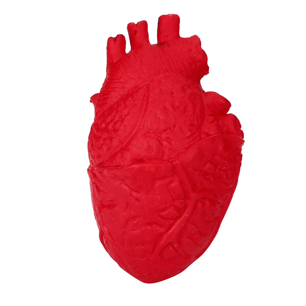 Novelty Silicone Stress Ball Scary Organ Heart  Toy Stress Reliever Toy suministros para fiestas recuerdos de boda taba squishy