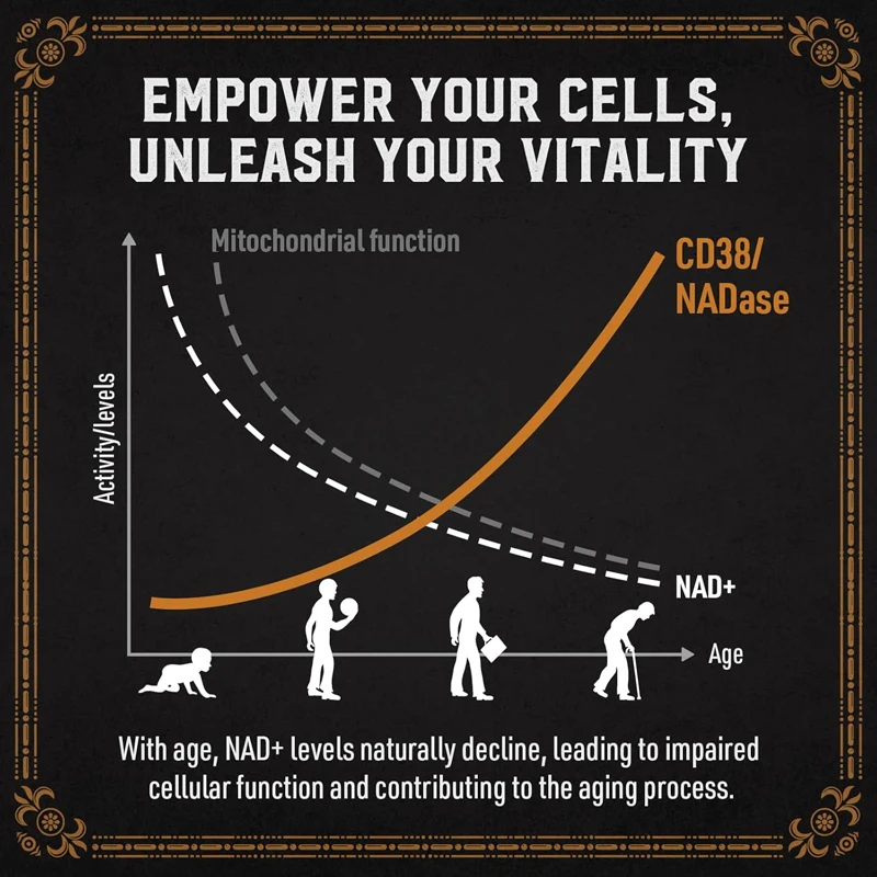 1800mg liposomal NAD supplement, nicotinamide nucleoside NAD+supplement, 98% pure NAD cell repair supplement, 60 soft capsules
