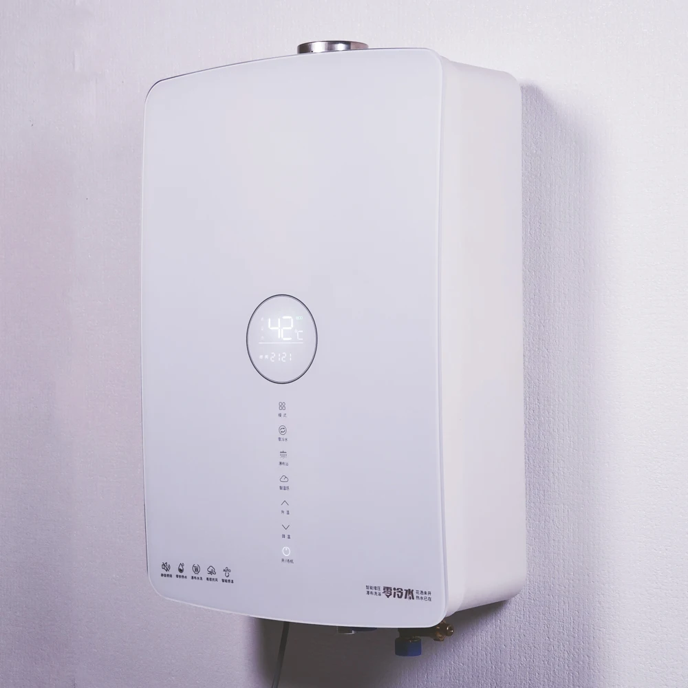 

89% Высокоэффективный 20-литровый газовый водонагреватель с высоким расходом воды в мгновенном стиле Дымоудаление постоянной температуры