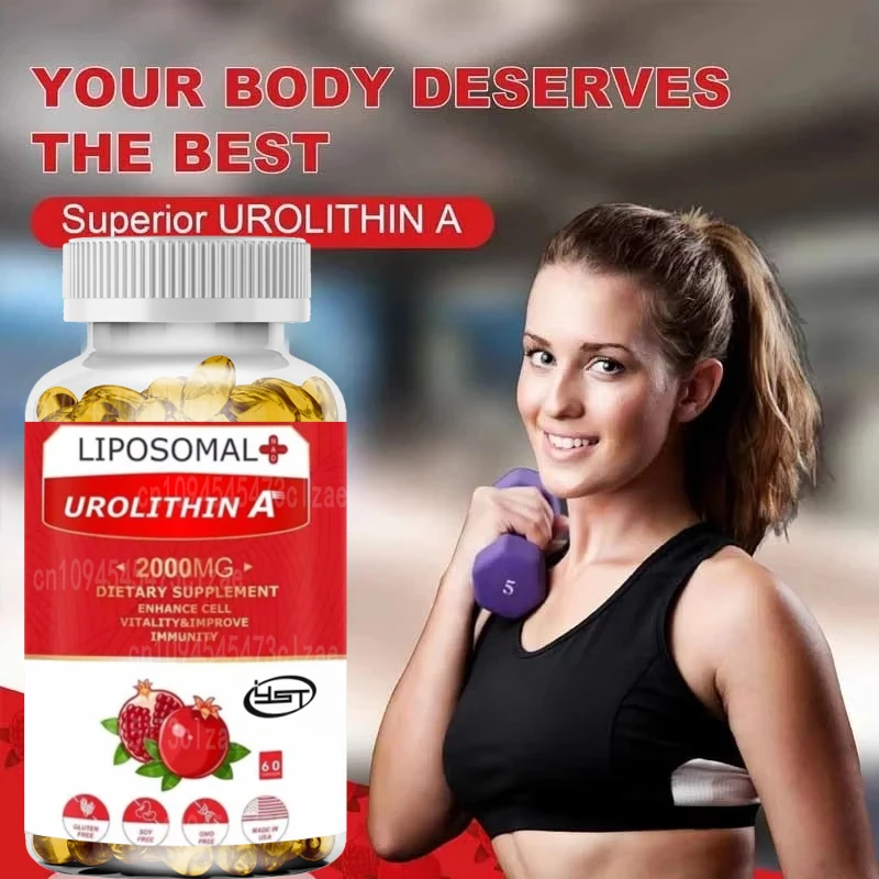 

Each 2000MG Urea Supplement Contains Natural Pomegranate Extract Rich in Antioxidants and 60 Vegetarian Capsules