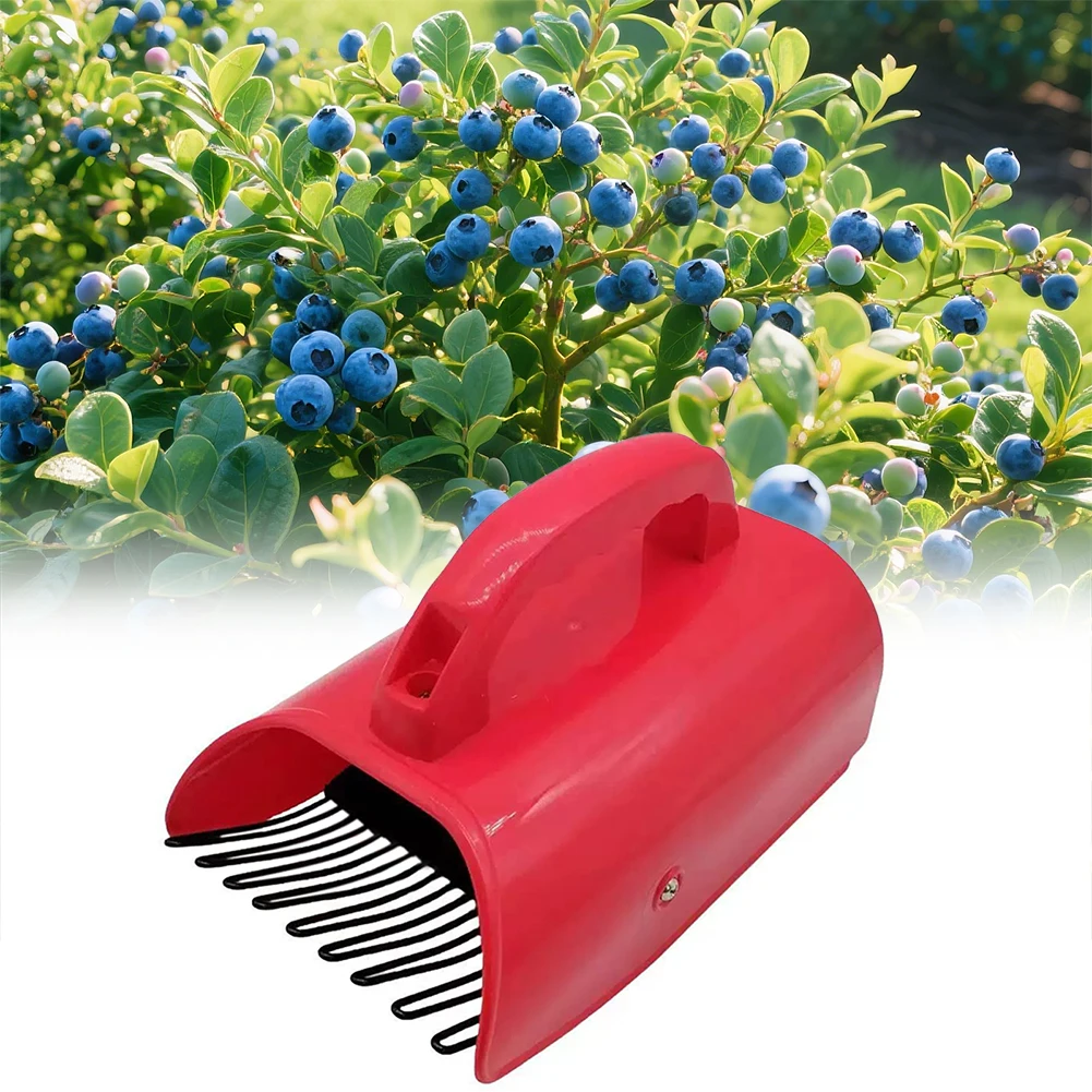 

Blueberry Picker,Fruit Picking Equipment For Berries,Ergonomic Berry Scooper Harvester Orchards Home Garden Harvesting Tool