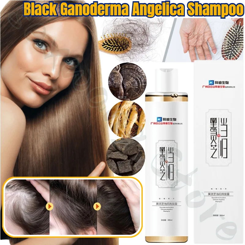 Black Ganoderma Angelica Shampoo Polygonum Multiflorum Nourishing Hair Care Shampoo Unisex Strengthens Hair 300ml