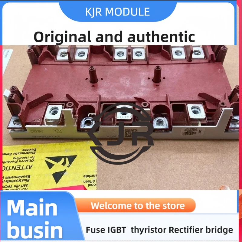 

SKIM270GD176D SKIM400GD128D SKIM401GD128D SKIM450GD126D SKIM450GD126DL SKIM455GD12T4D1 SKIM455GD12T4DM1 SKIM501GD128DM