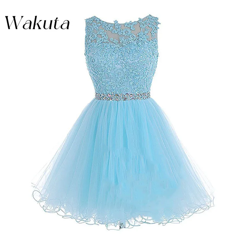 

Wakuta Luxury O Neck Sleeveless Short Homecoming Robe A-Line Tulle Backless Sequined Graduation Cocktail Vestido Elegante Mujer