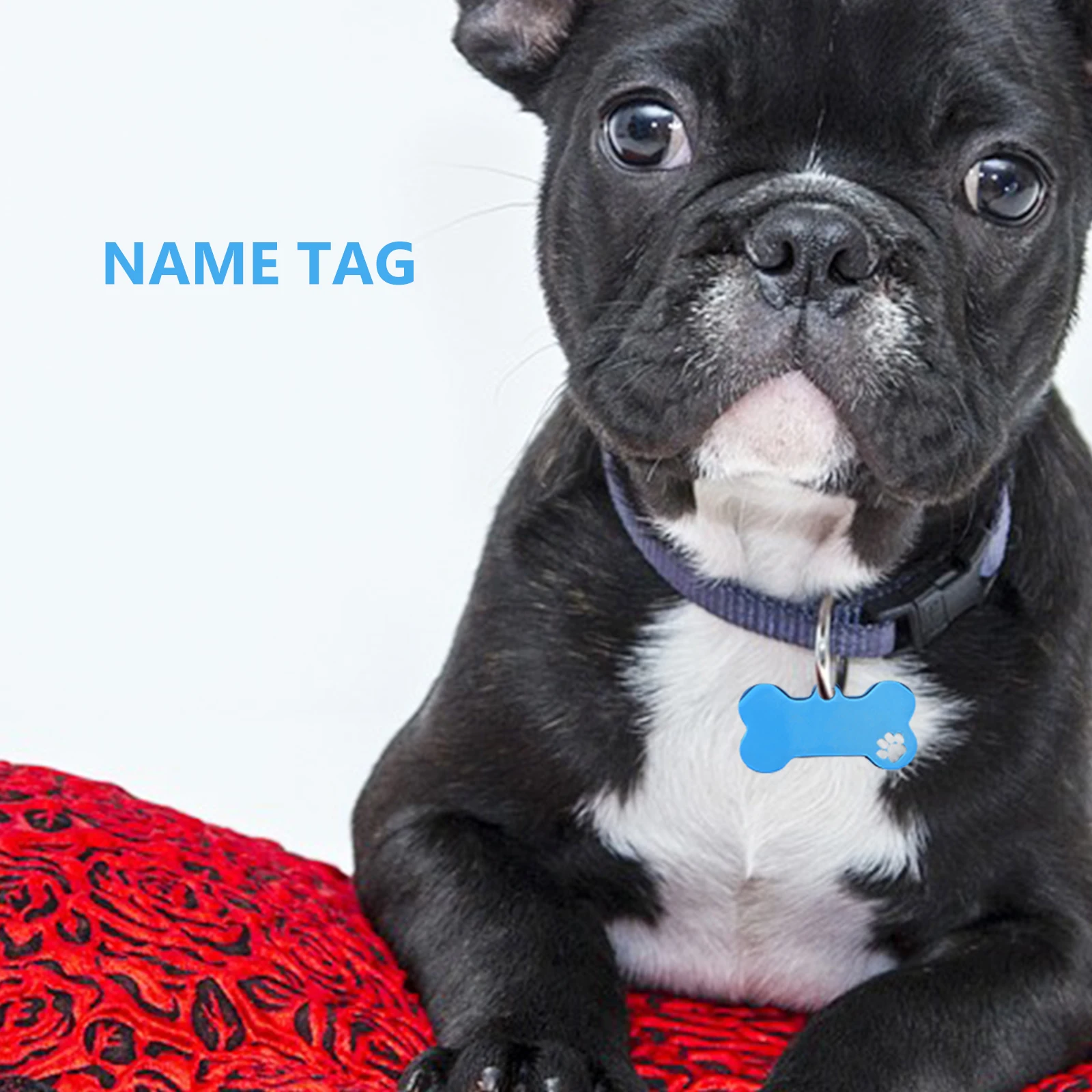 

4Pcs Hollow Dog Tag Blanks Stainless Shape Engraved Pet Id Tags for Dogs Cats Puppies Name Phone Number