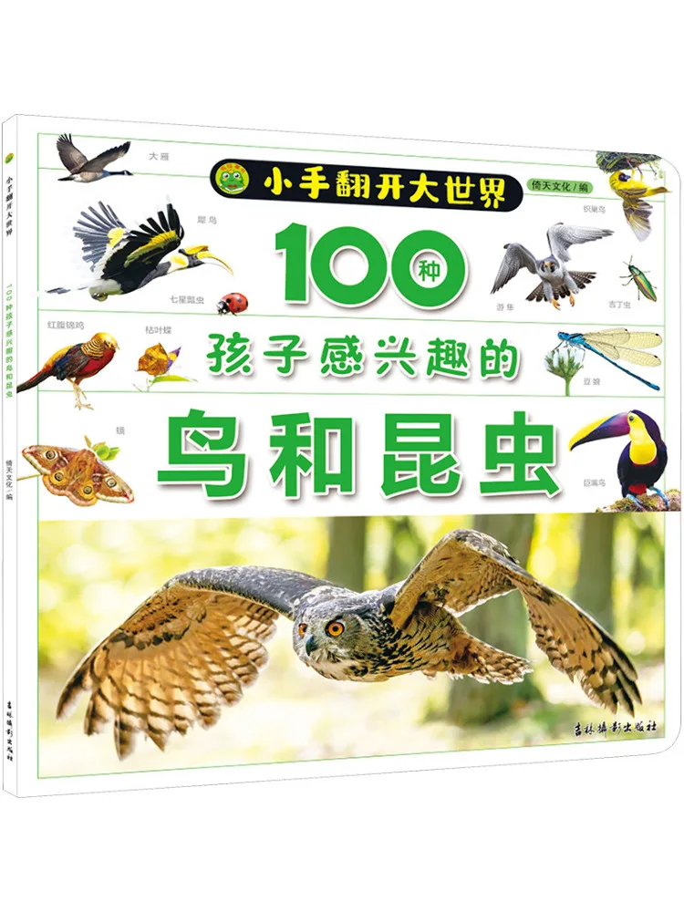 

Book-Winshare 100 Kinds Of Birds and Insects That Children Are Interested