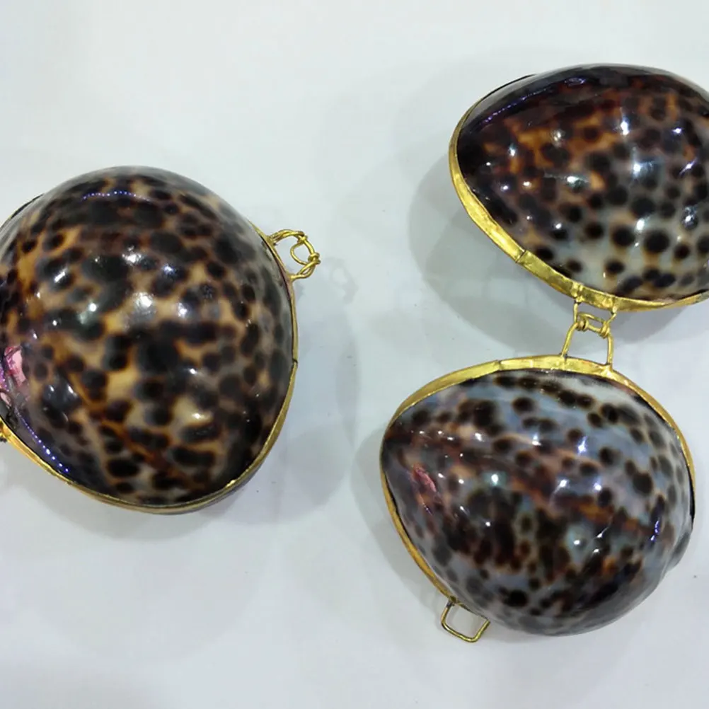 صندوق مجوهرات على شكل صدفة، علبة حلق إبداعية، صناديق تعبئة الهدايا، أشتات، مقترح آمن للمناسبات الخاصة