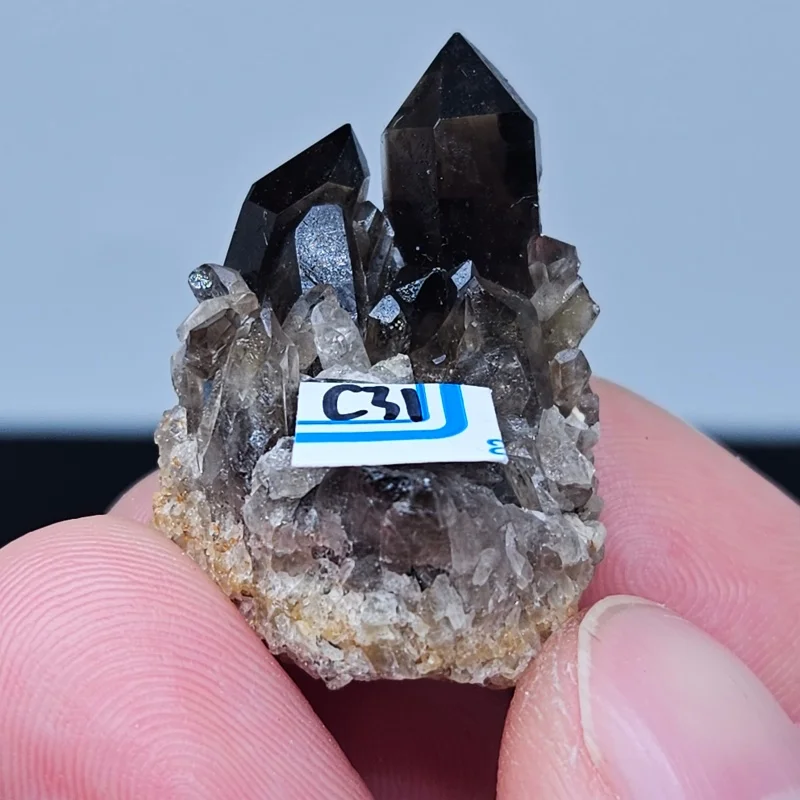High Quality Smoky Black Crystal Cluster Natural Tawny Quartz Original Ore Specimen for Teaching And Home Decoration