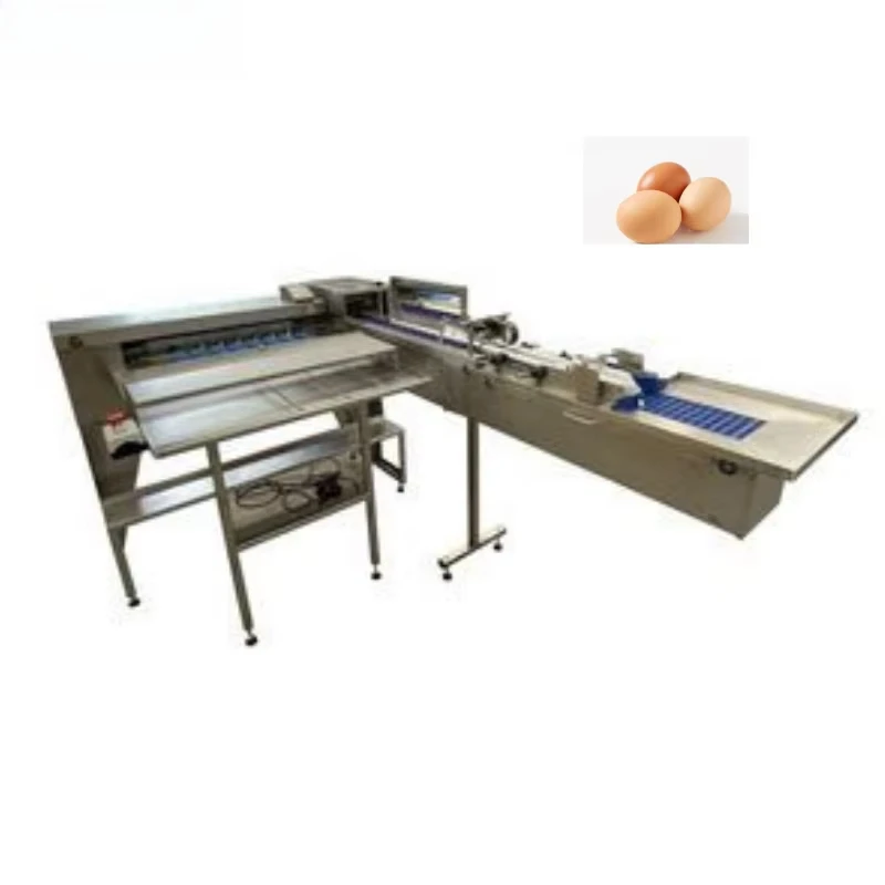 Customized Fully Enclosed Hygienic Egg Grading Machine Anti Pollution Dust Proof Design Food Grade Egg Sorter For Egg Processing