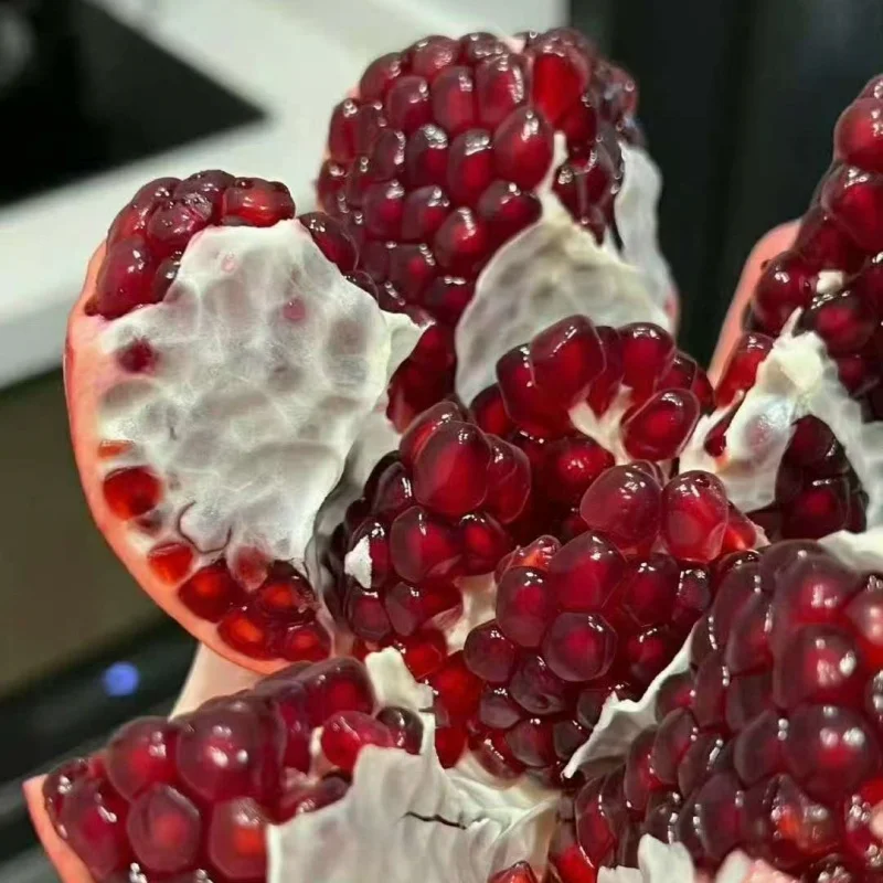 

0445110443 Genuine Diesel Injection 0 445 110 443 Fuel Injector Assembly 0445 110 443 Nozzle Injector for GREATWALL 1100100ED01B