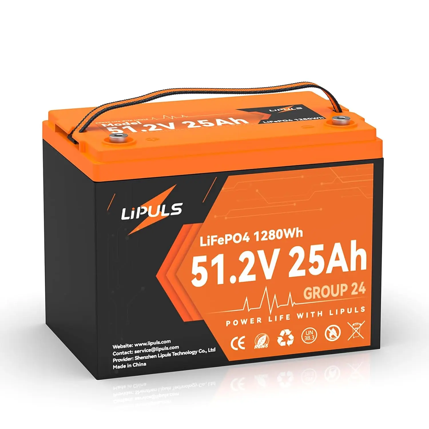 51.2V 25Ah LiFePO4 Deep Cycle Battery for RV Trolling Motor Solar, Customized