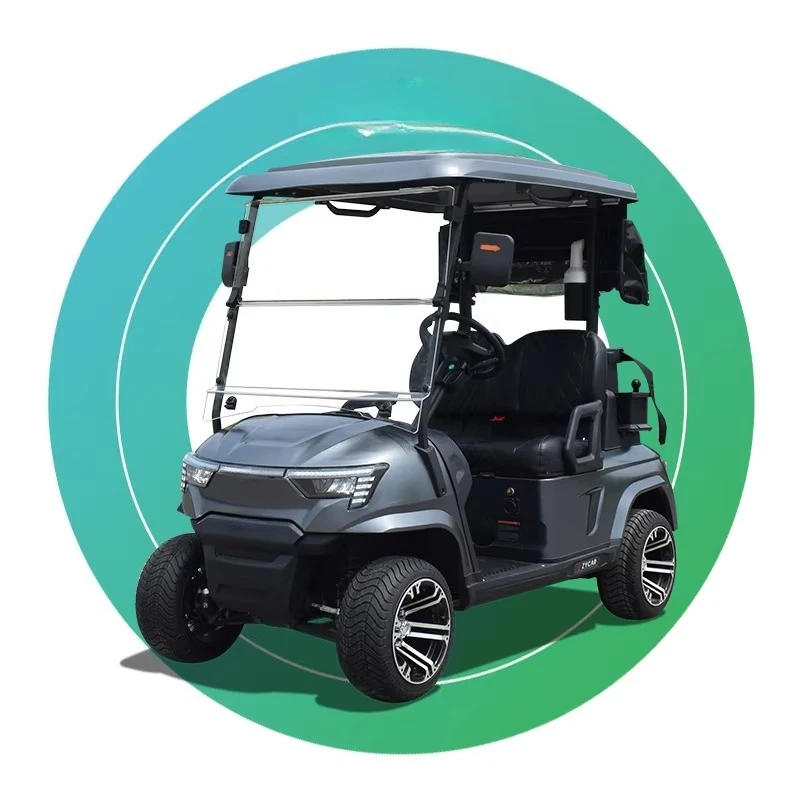 

Electric Golf Cart Accessories Motor