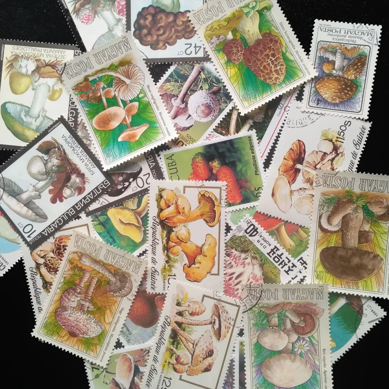 100 Different Original Mushroom Postage Stamps Real Used Large Medium-sized Post Stamps For Collection Vintage Diary Decoration