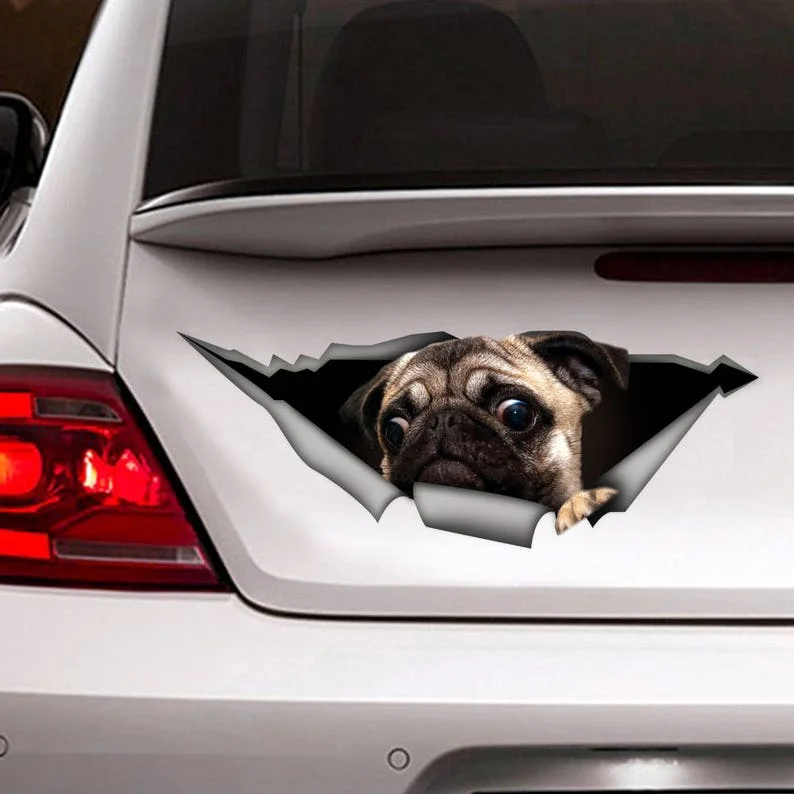 Funny car decal pug, pet decal, pug sticker