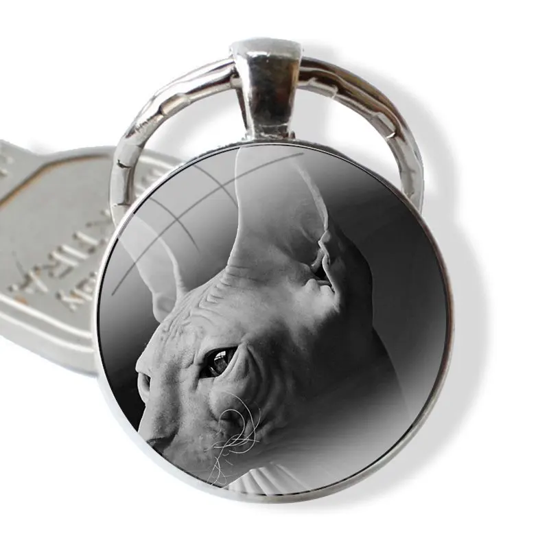 25mm Glass Cabohcon Keychain Key Rings for Women Men Jewelry Gift Canadian Hairless Beerus cat sphynx cat