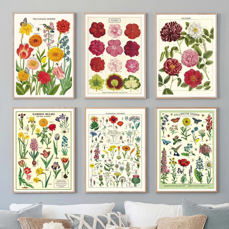 Póster de lona para decoración del hogar, planta, flor, árbol, flor, pera, Cactus, boceto nórdico, arte de pared, cocina, sala de estar, decoración de habitación Kawaii