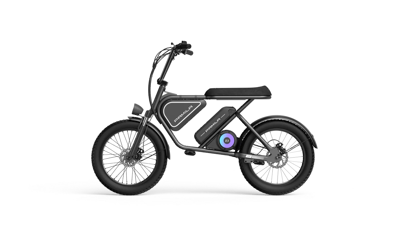 

E3 Electric Bike for Adults 1000W 26mph 48V 16Ah Battery Max 50-100 Miles 20*3' Fat Tire 3-Speed E Motorcycle Dirt Bike