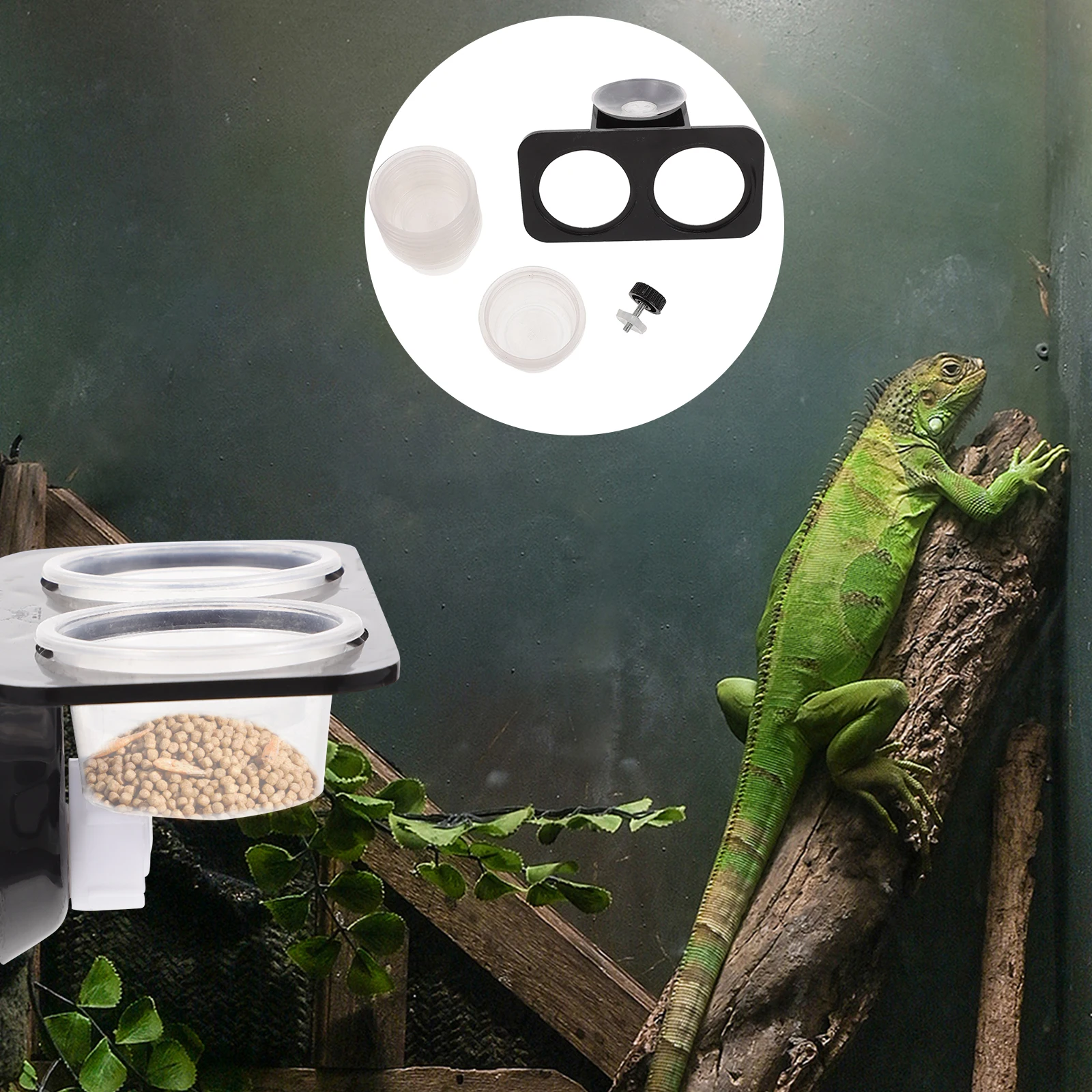 

1 Set Feeder Double Cup Lizard Container Anti-Escape Pet Water Bowl Stable Crawling Feeding Tool Safe Food Basin Large Capacity