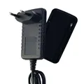 1 pc EU Plug