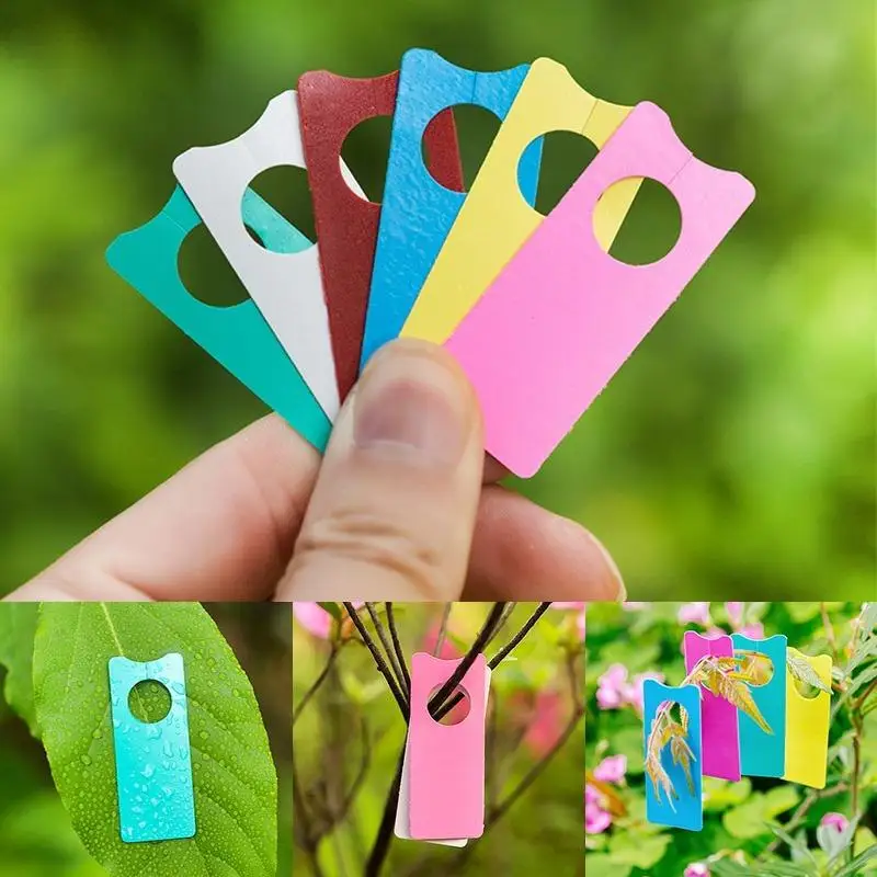 200Pcs Multifunction Plastic Tags for Melon Fruit Plant Garden Bonsai Decoration Sign Board