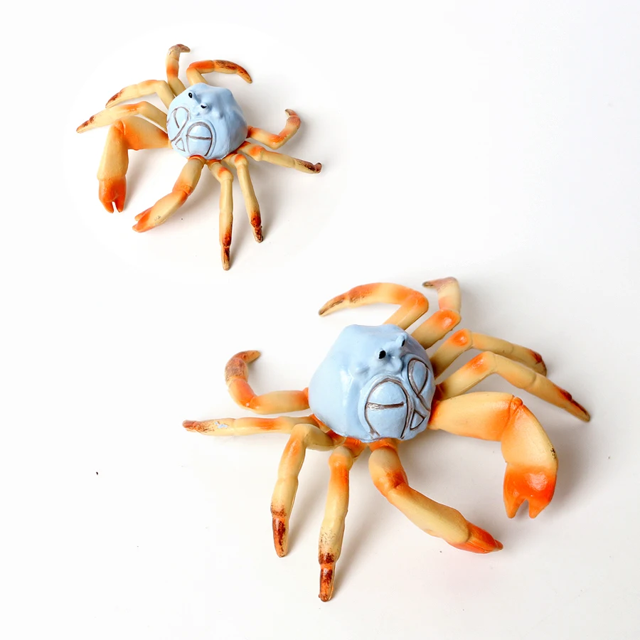 Animais do oceano realistas, caranguejo eremita, caranguejo de coco, fiddler, modelo de vida marinha, figuras de ação, criaturas do mar, brinquedos para decoração de casa