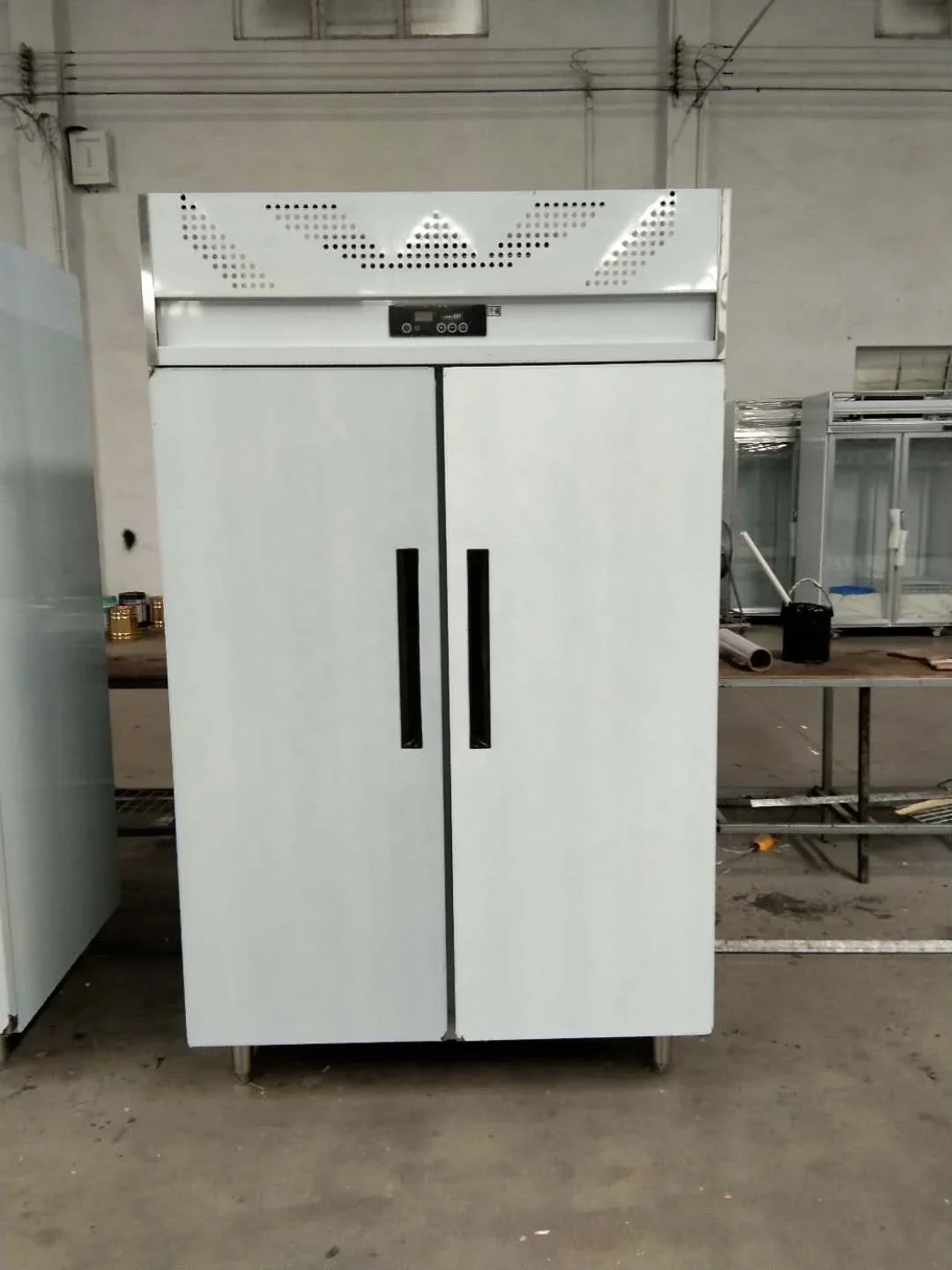 Commercial Restaurant Kitchen Stainless Steel Tray Refrigerator Low Temperature Freezer Display Vertical