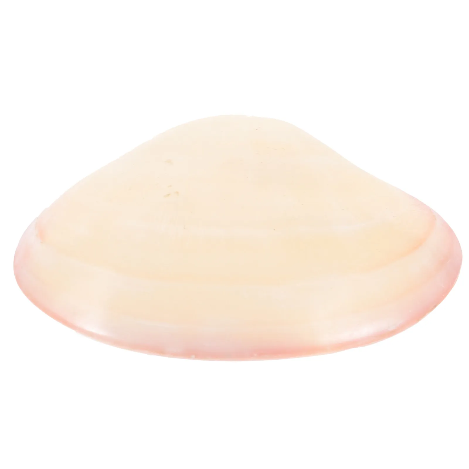 

Compact Shell Jewelry Box Natural Mini Trinket Case for Safe Earring Ring Collection Portable Gift Idea Valentine Wedding