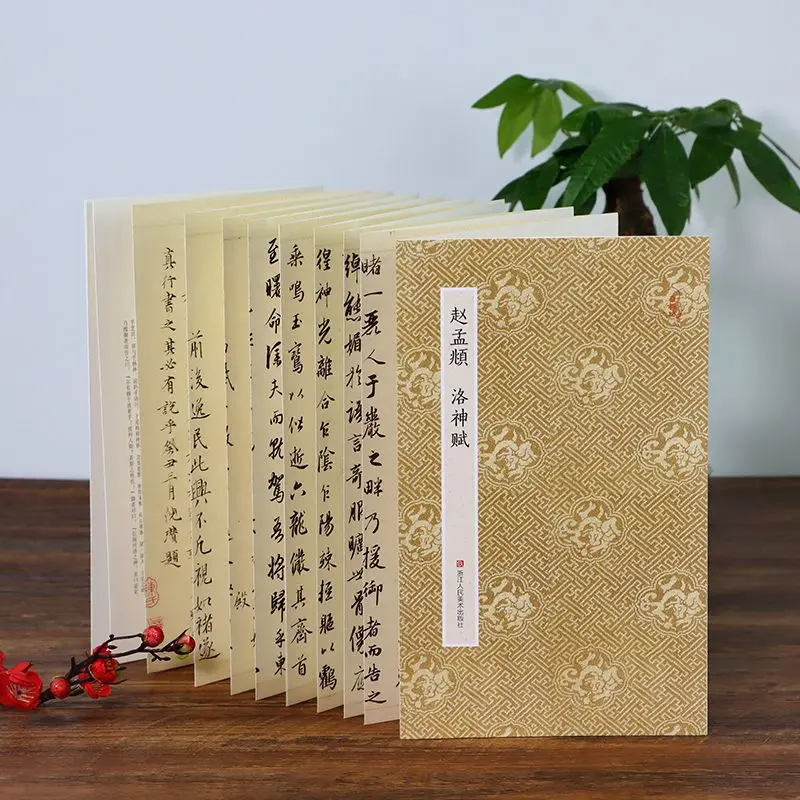 

Folded Style Zhao Mengfu Luo Shen Fu Calligraphy Copying Book Chinese Classics Rubbings Running Script Brush Pen Copying Coybook