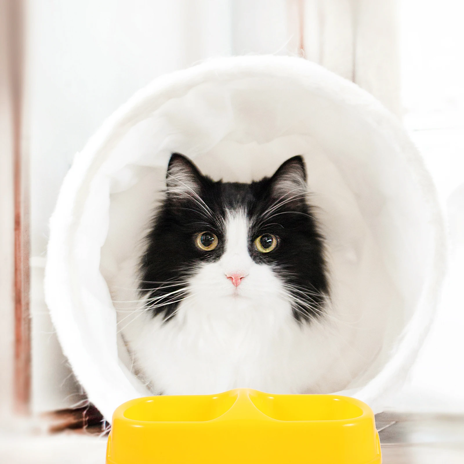 

Double-mouth Pet Feeder Yellow M-size Non-skid Portable Food Water Container Cat Bowl Plastic Pet Supplies Dog Feeder Household
