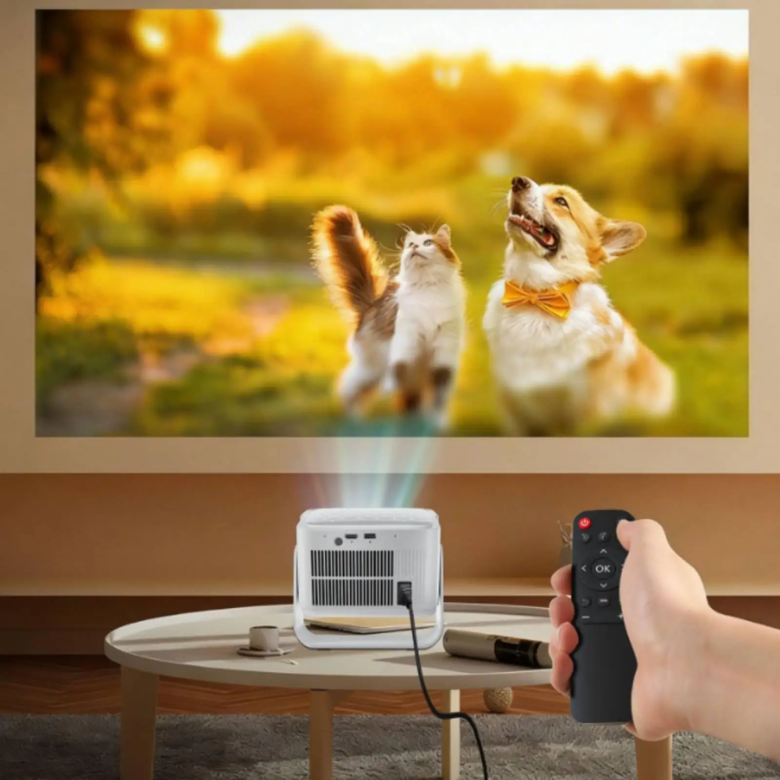 Display Device with Stand Native Display Device Auto Focus for Movie Lovers, Gaming Aficionados, Bedroom, Living Room