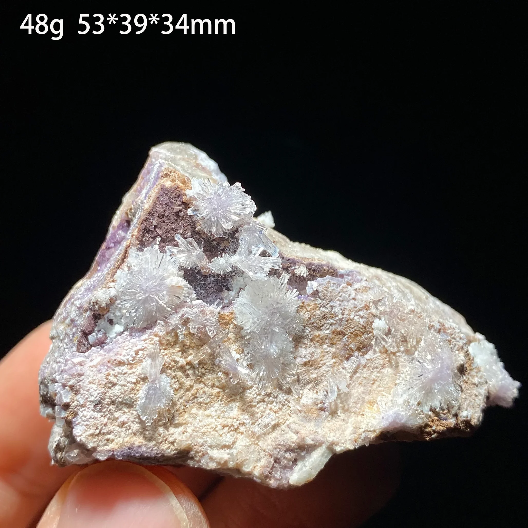Natural Gypsum Flower Cluster Crystal Quartz Specimen for Teaching Meditation Energy Healing Home