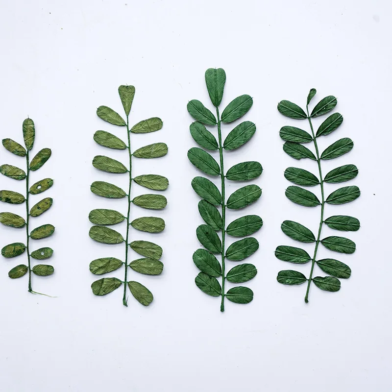 

Pressed Dried Highland barley Flower Herbarium For Jewelry Postcard Bookmark Frame Phone Case Invatation Lamp Card DIY