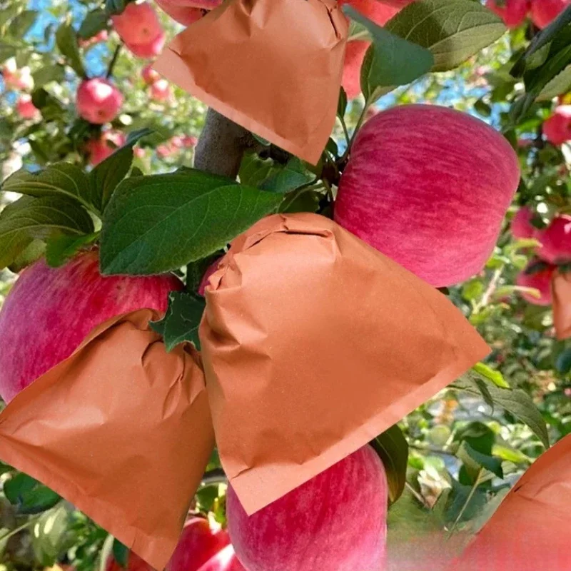 Double Layered Thickened 15x18cm Fruit Apple Paper Bag Orchard Peaches Pears Reused Blocking Waterproof Orchard Fruit Bagging
