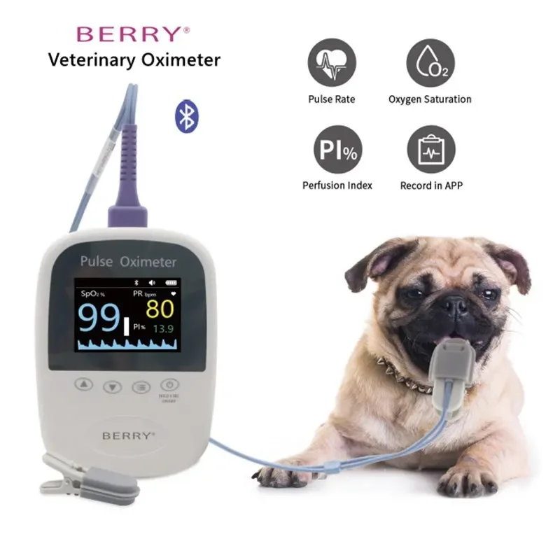 Berry Veterinaire Monitor Oximeter Huisdieren Hond Gebruiken Bluetooth Dier Spo2 Hartslag Hartslag Zuurstofverzadiging Huisdier Monitor