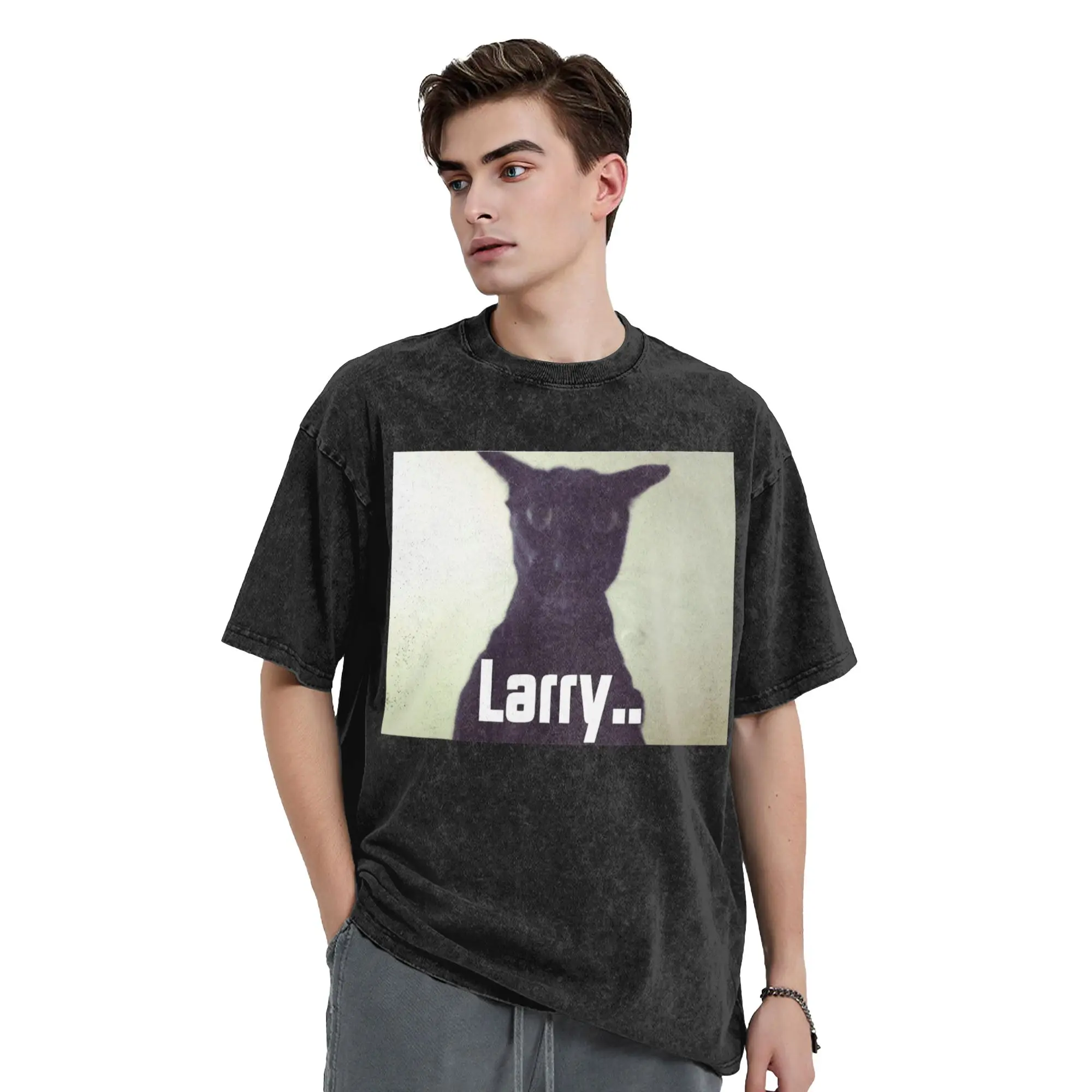 Washed T Shirt Evil Larry Meme Larry Cat Meme Hip Hop Vintage T-Shirts Harajuku Streetwear Printed Tops Tee Shirt for Men Women