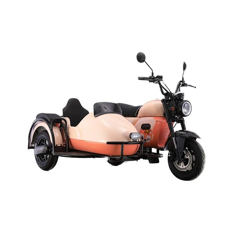 

Electric sidewalk tricycles for scenic spots
