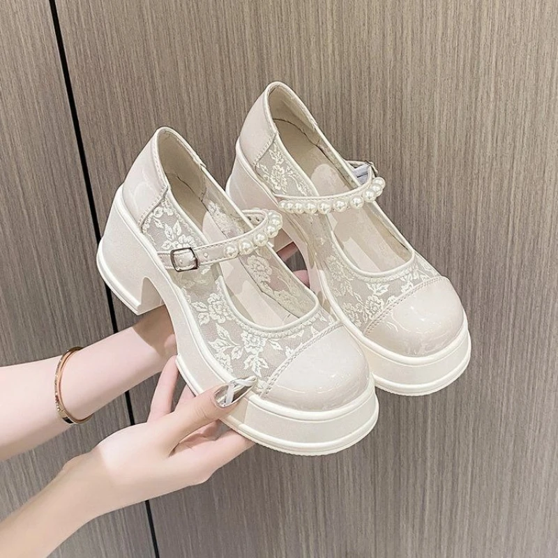 

New 2026 Autumn Women's French Style Mary Jane Shoes Low-Cut Design Single Strap Ventilated Mesh Embroidered Lace Platform Sole