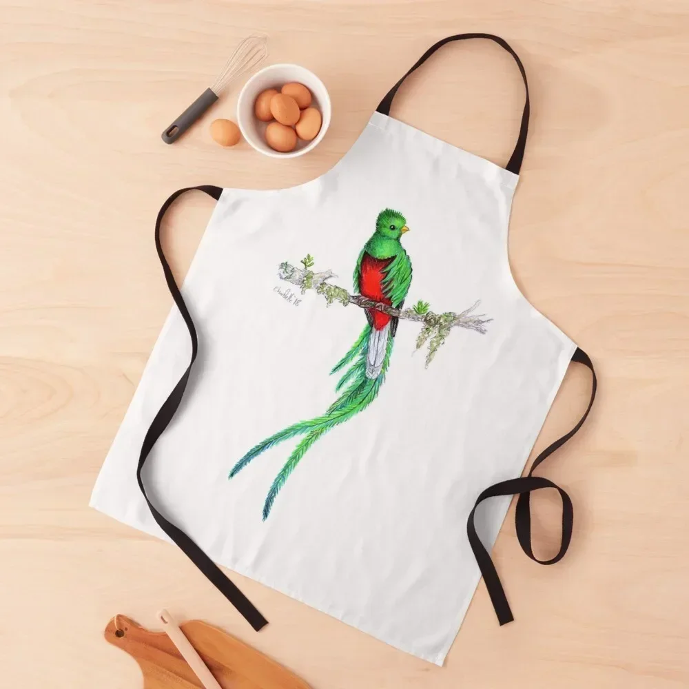 

Resplendent Quetzal Apron Kitchen accessories esthetician Apron