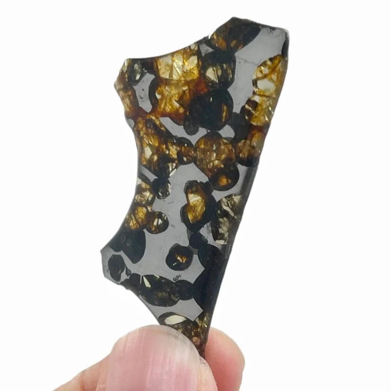 eymchan Pallasite Meteorite Polished Small Irregular Slice Natural Olivine Inclusion Space Rock Display Specimen CA112
