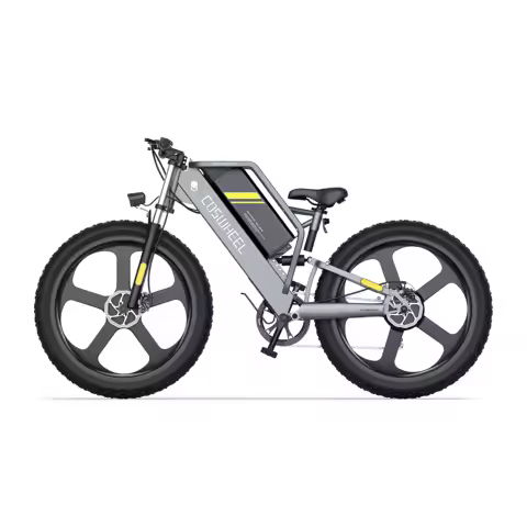 Coswheel T26 adult E-bike 500W 48V20Ah battery commute Electric Bike,26-inch Fat Tire E-Mountain bike