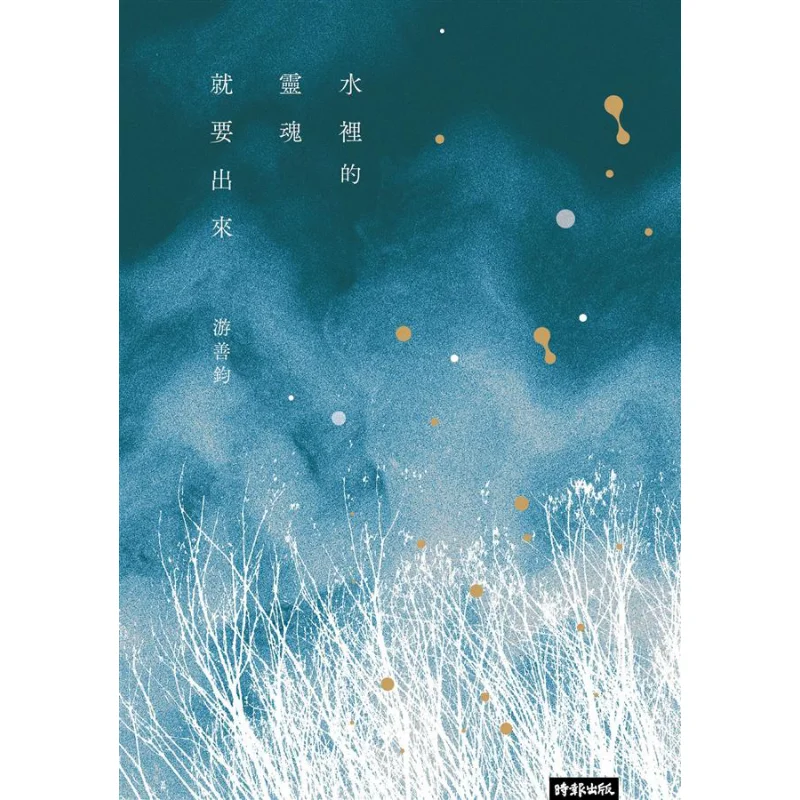 The Soul In The Water Is About To Come Out You Shanjun Times Culture 9789571381206 Book