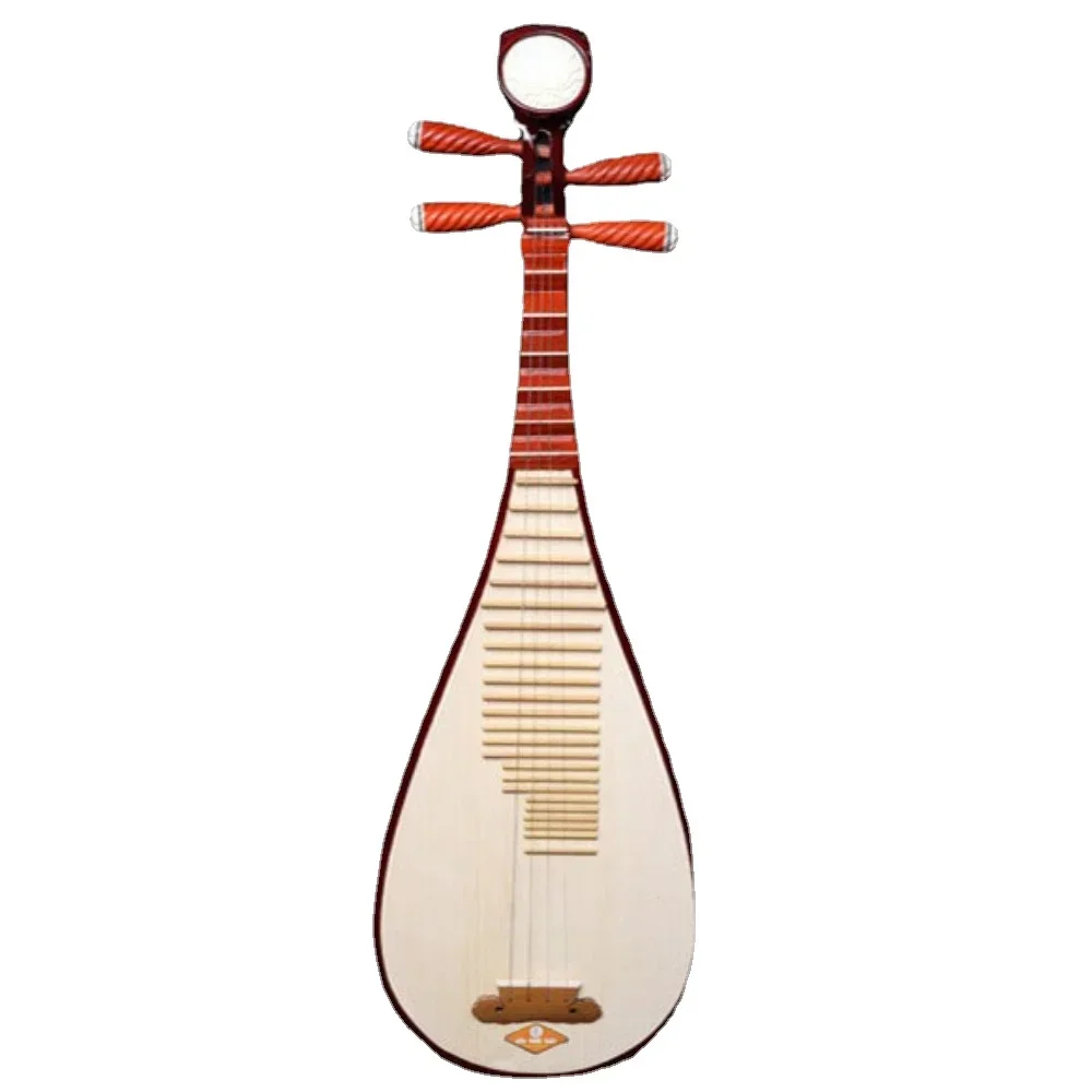 Professional Pipa Chinese Ethnic Music Instrument Aldult Lute Traditional Oriental Stringed Musical Instruments with Accessories