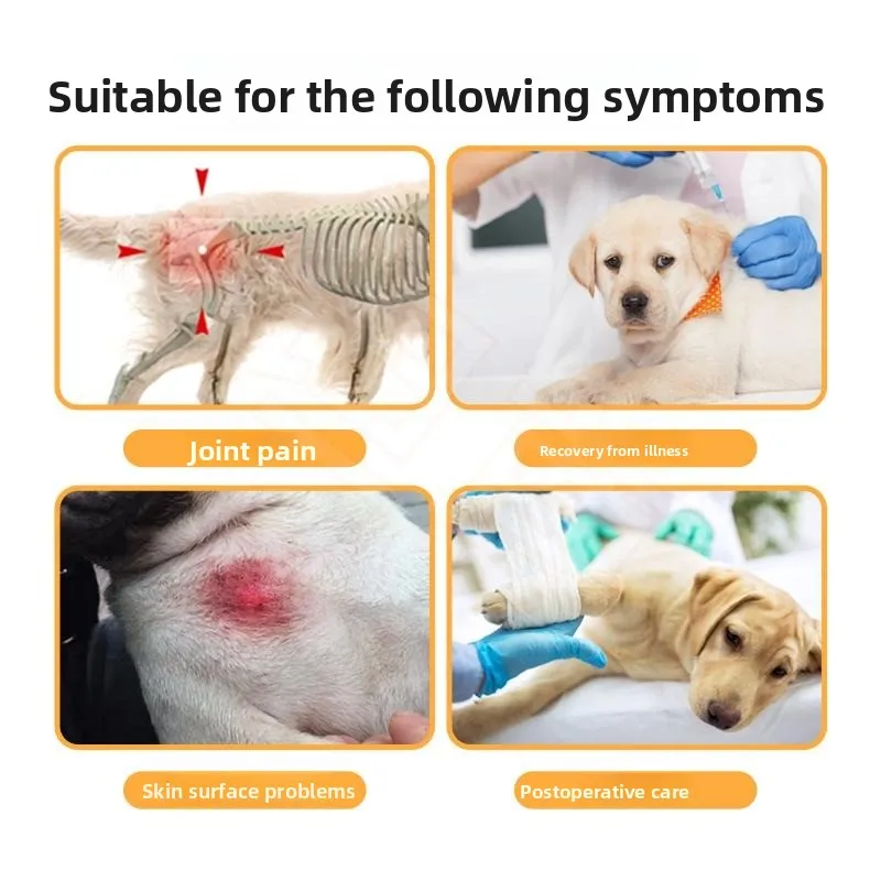 Infrared physiotherapy belt dog lumbar spine recovery joint elderly dog fracture bone spur patella pet red light
