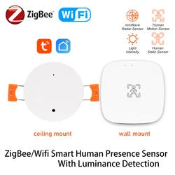 ZigBee Tuya MmWave 인간 존재 모션 센서, 조도 및 거리 감지, 16A 릴레이, 스마트 라이프 홈 자동화, 110 V, 220V