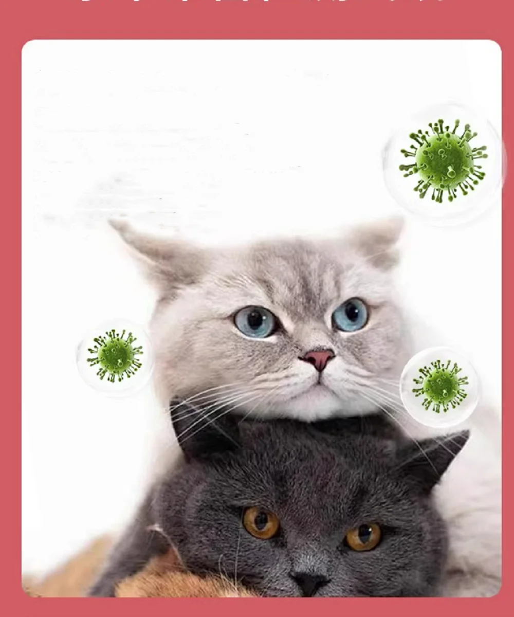 Cat plague test paper cat plague virus detection card FPV parvovirus adult cat kitten plague test card 20 copies