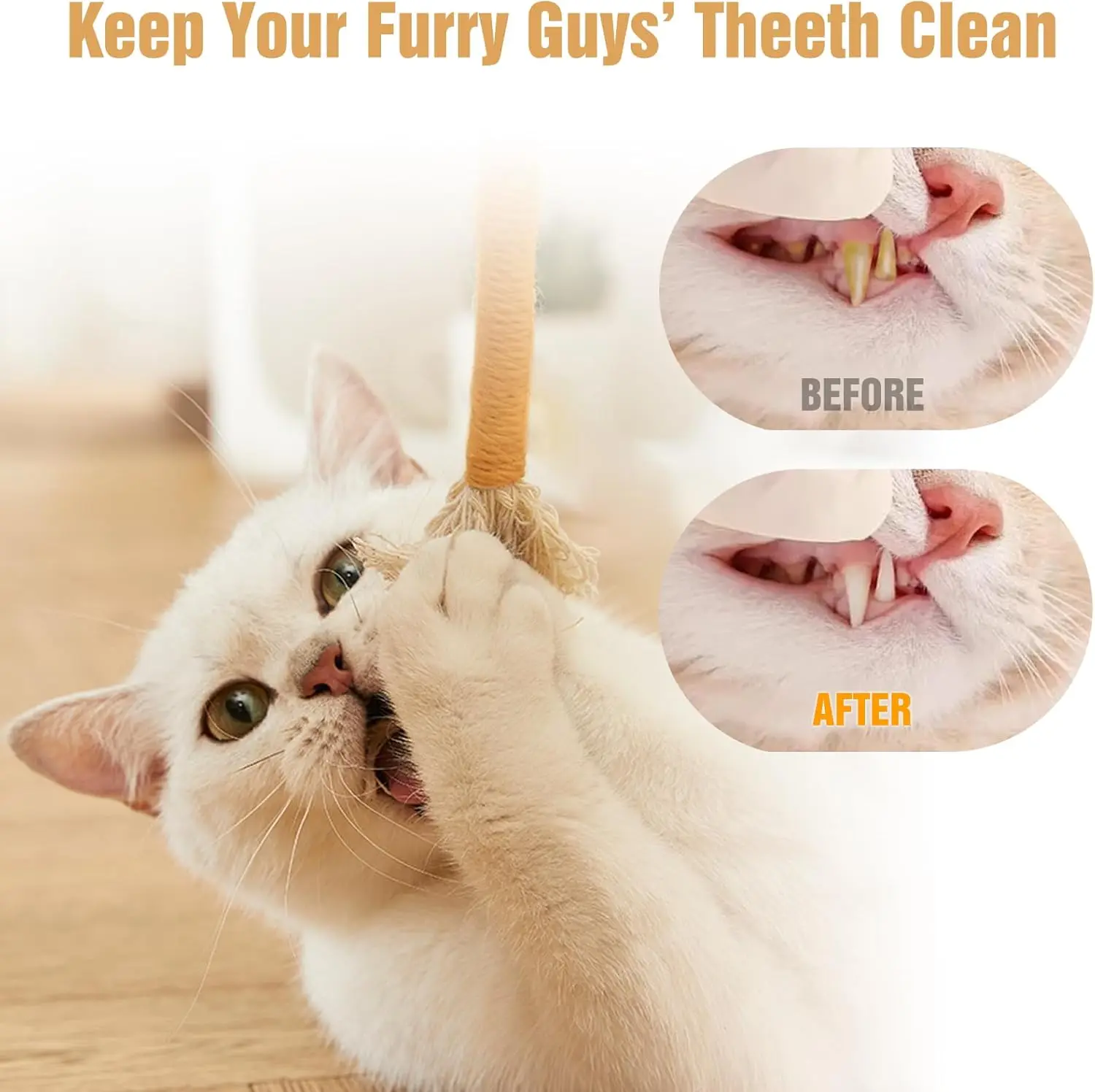 Cat Chew Toys Interactive Molar Cotton Rope Toys Silvervine Cat Teaser Toy  Clean Mouth Kitten Play Toy Pet Supplies Accessories - AliExpress 15
