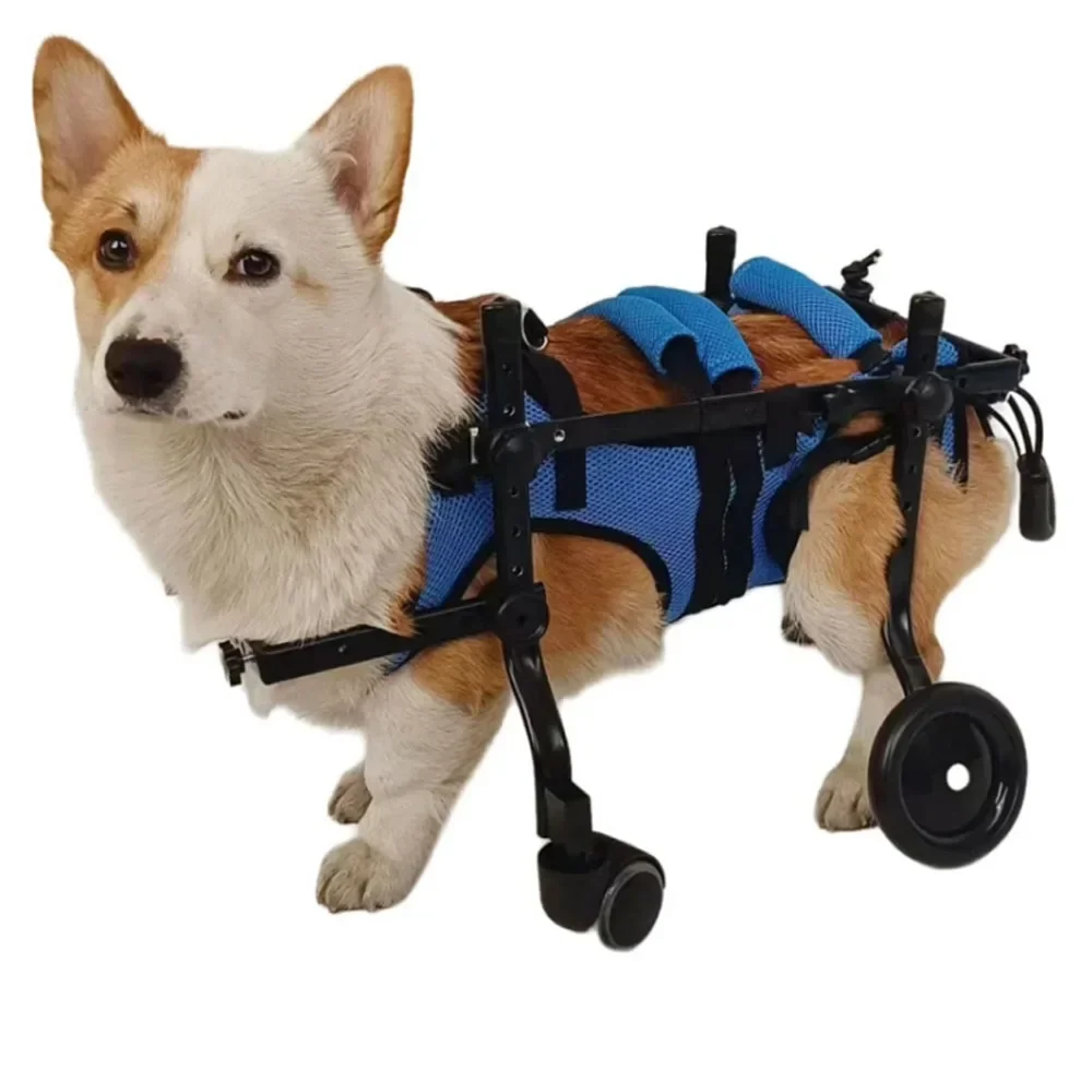 

Dog Wheelchairs Disabled Paralyzed Rehabilitation Four-Wheeled Wheelchair Dog Elderly Mobility Aid Car Teddy Pet Hind Leg Suppor