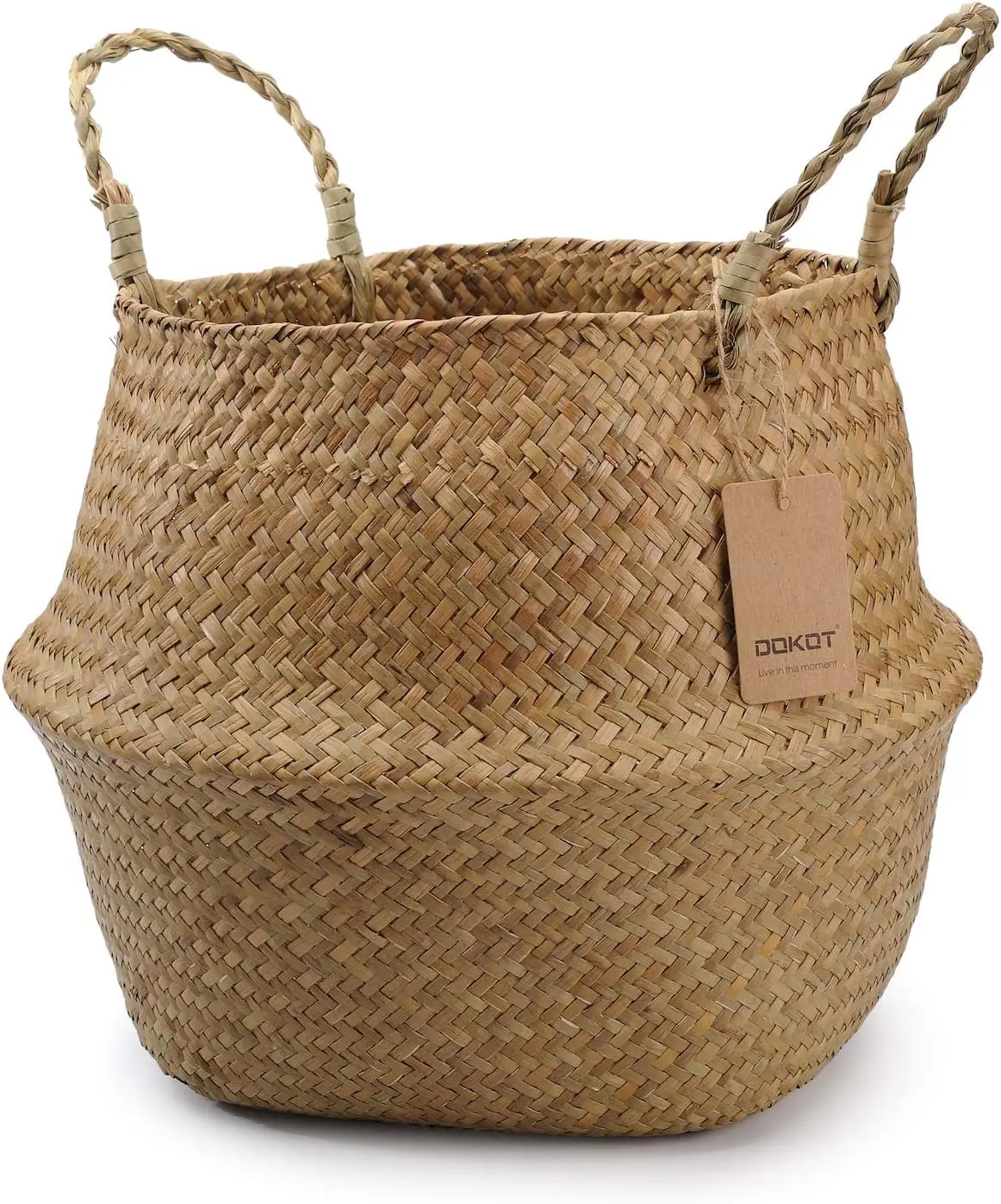 

Natural Seagrass Plant Basket with Handles, 7x8 inch Woven Storage