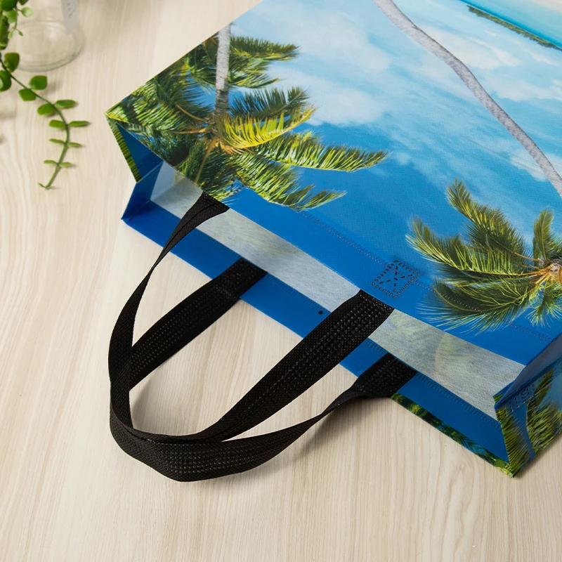 Coconut Nonwoven Shopping Bag Large Reusable Storage Bag Tote Waterproof Fabric Nonwoven Wholesale Foldable Shopping Bag